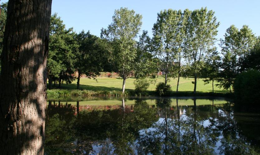 Bed and Breakfast Domaine De Vilotte Ardenais Екстер'єр фото