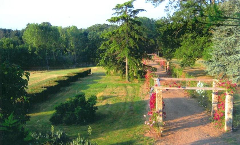 Bed and Breakfast Domaine De Vilotte Ardenais Екстер'єр фото